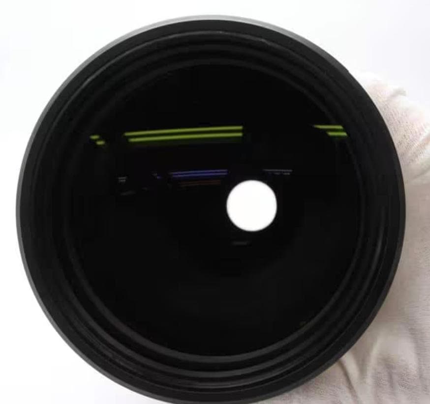 レンズ(ズーム) FE 200-600mm F5.6-6.3 G OSS SEL200600G