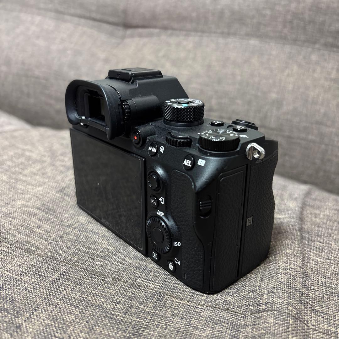 SONY α9 （ILCE-9+シグマmc-11）