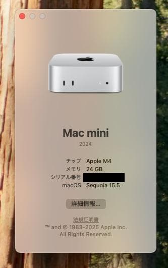 Mac mini M4 メモリ24GB | SSD2TB（増設） | 10GbE