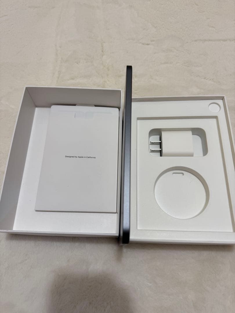 iPad mini 6 スペースグレー 256GB wifi 第6世代