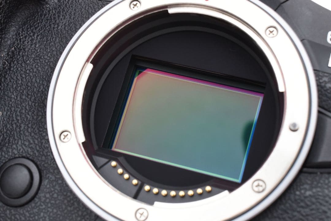 付属品付き デジタル一眼ミラーレスカメラ Canon EOS R5