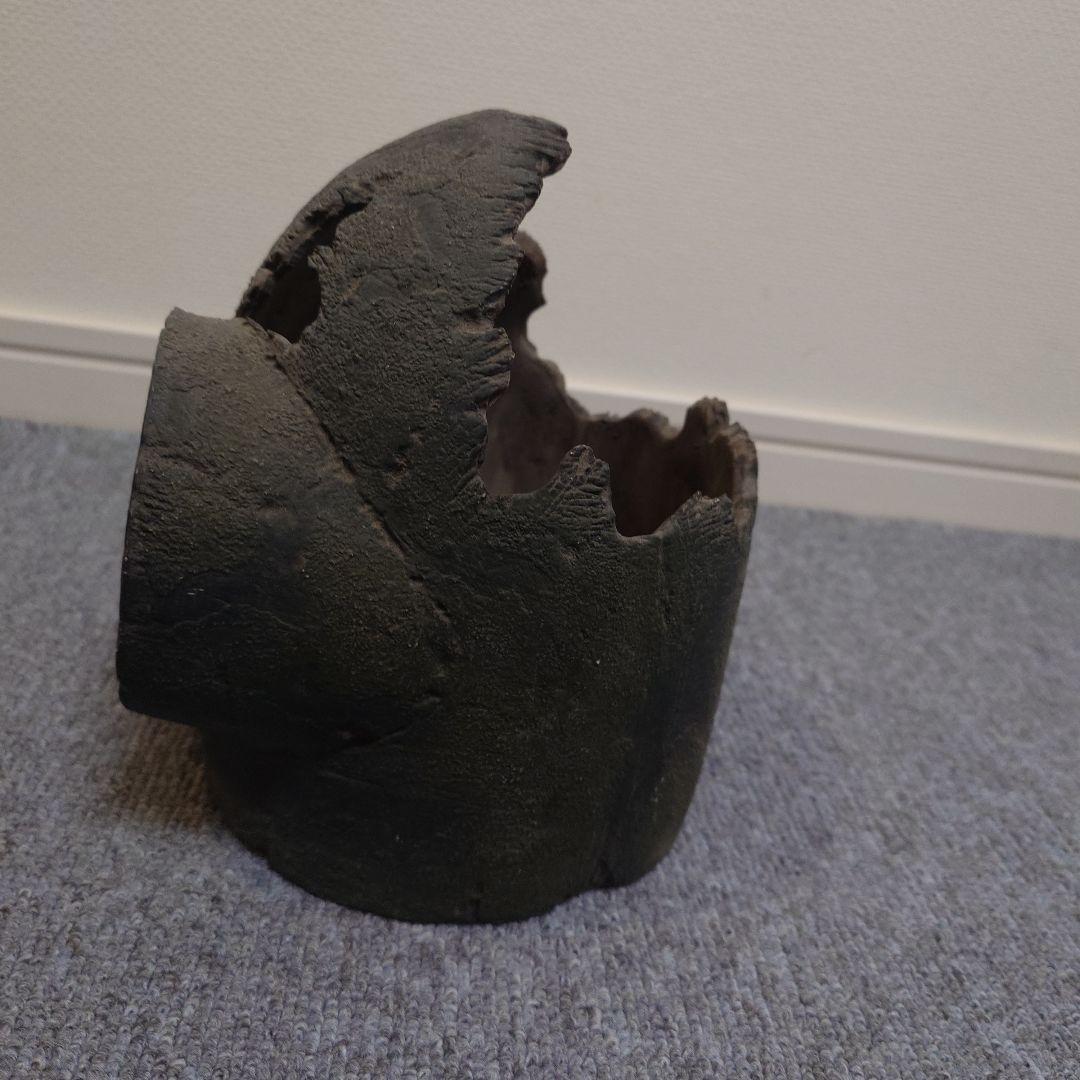 天空の城ラピュタ　プランター