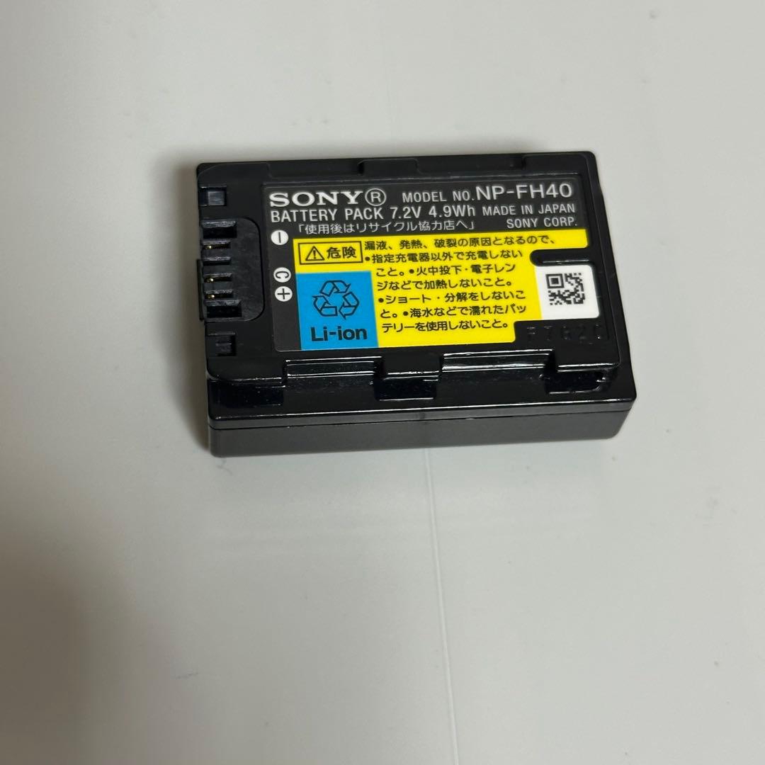 m SONY DCR-SR62 0.3倍 魚眼レンズセット