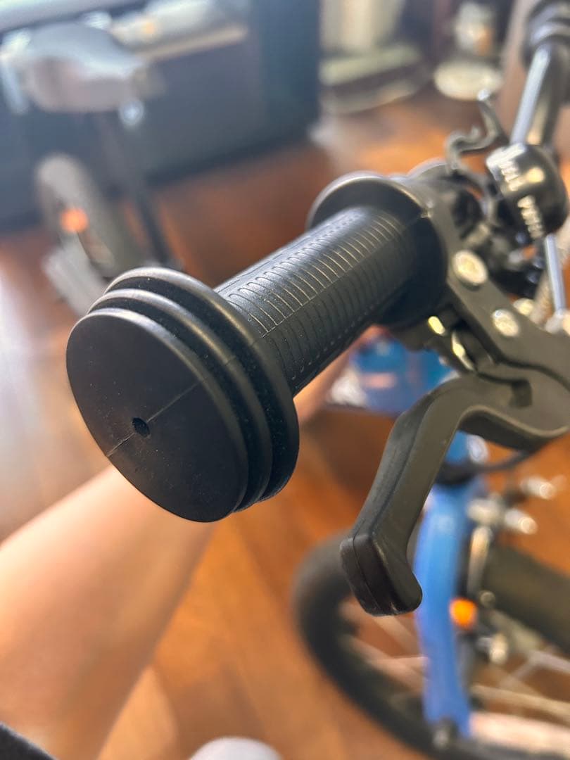 STRIDER 14X キッズバイク 青