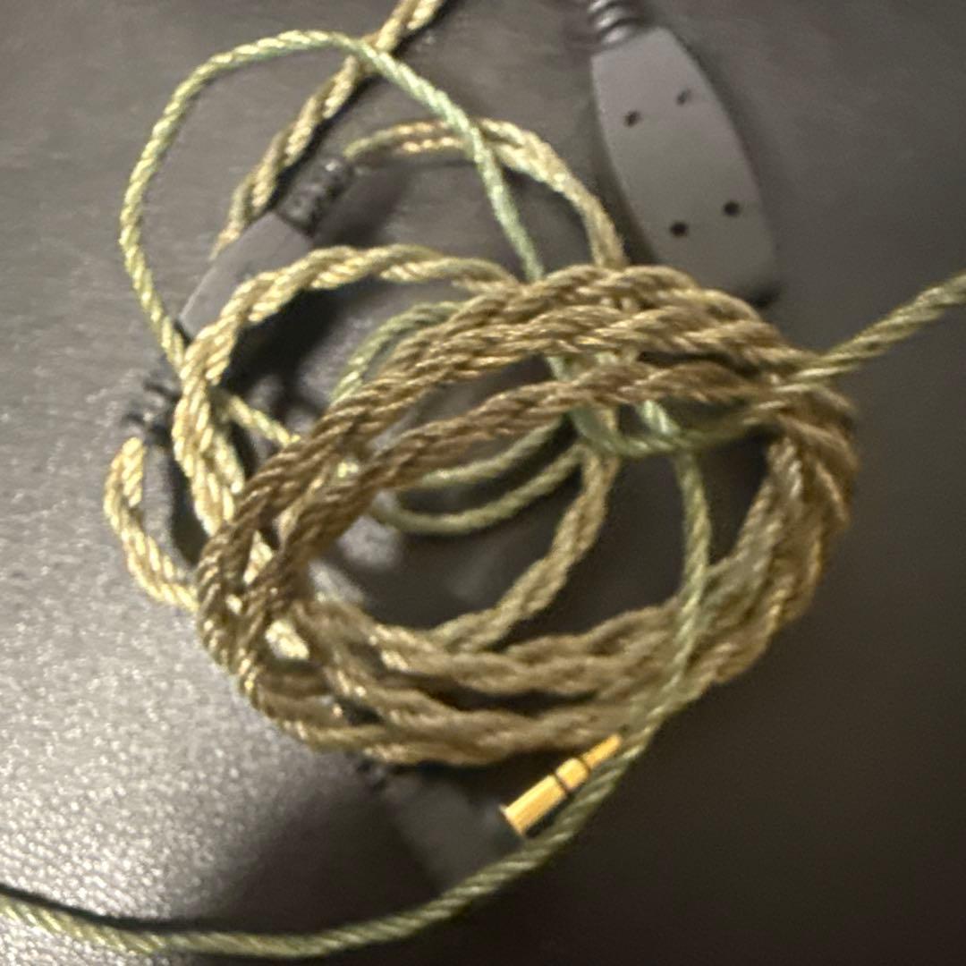 jh audio 初代ロクサーヌ　Roxanne Universal Fit