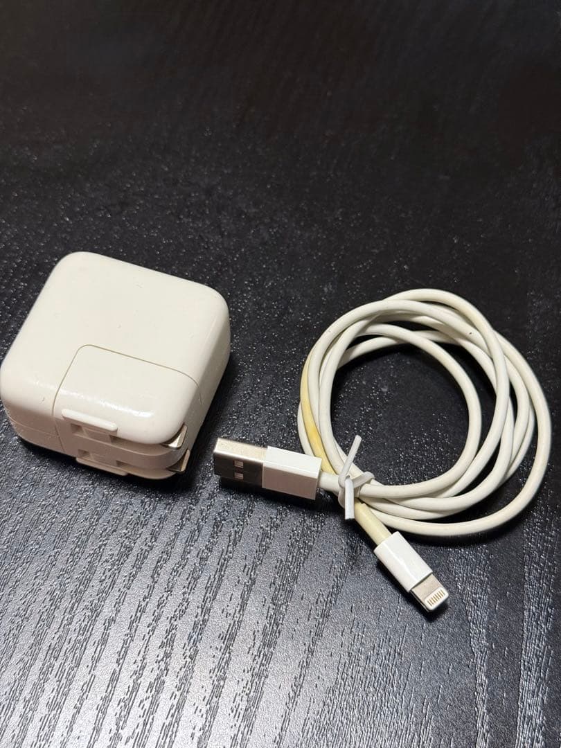 iPad mini（第1世代）セルラー docomo 16GB ケース付き