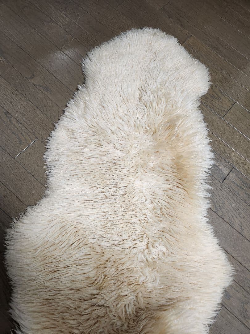 再値下げしました。 クリーム色 羊毛 1.５匹ラグ