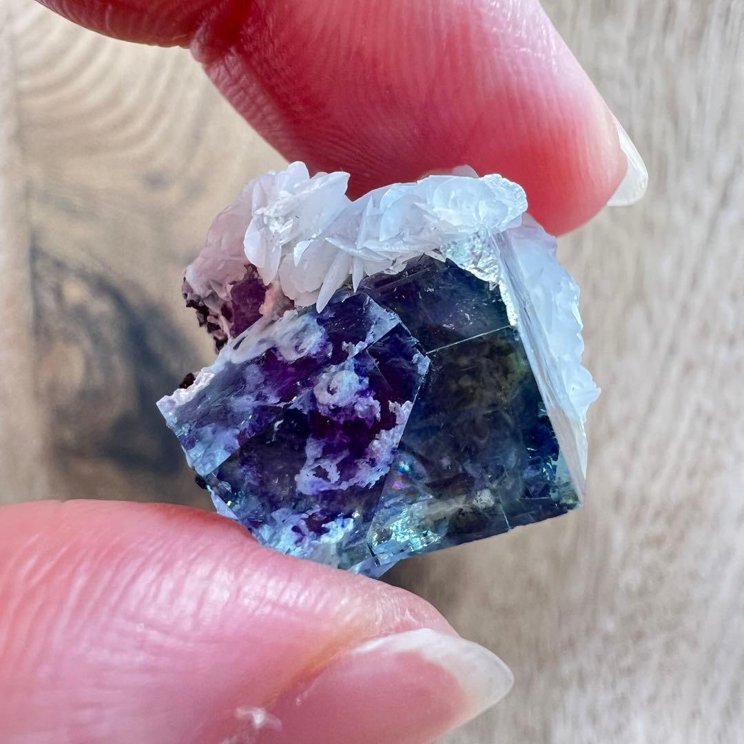 フローライト パイライト F2 カルサイト 共生 鉱物 標本 原石