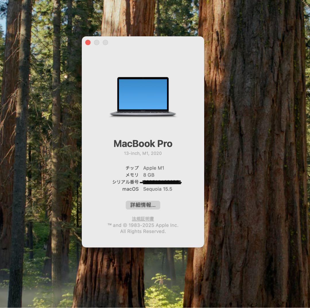 M1 MacBook Pro 2020 512GB 8GB スペースグレイ