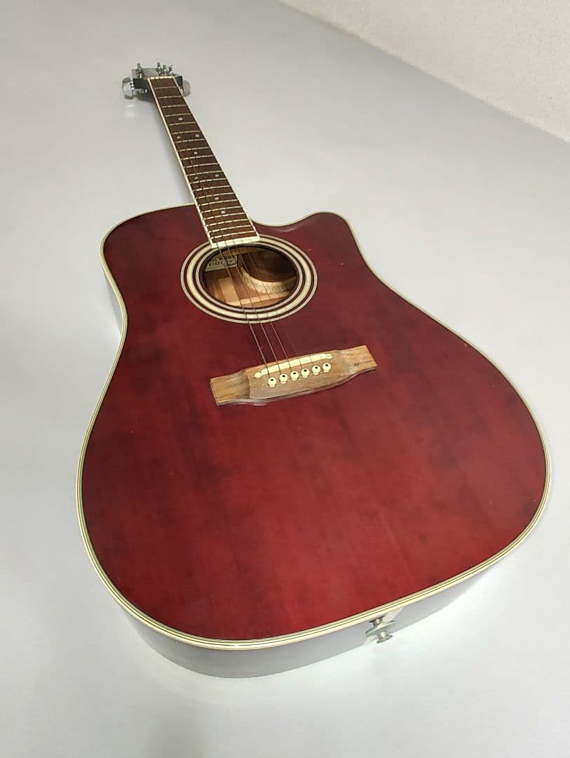 oasis ノエル ギャラガー EF325SRC エレアコ ギター タカミネ