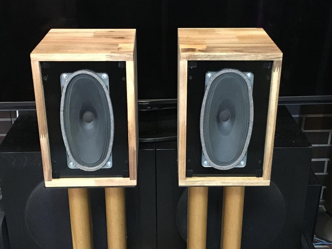 西独 Nordmende レア ビンテージフルレンジP1123 システム ペア