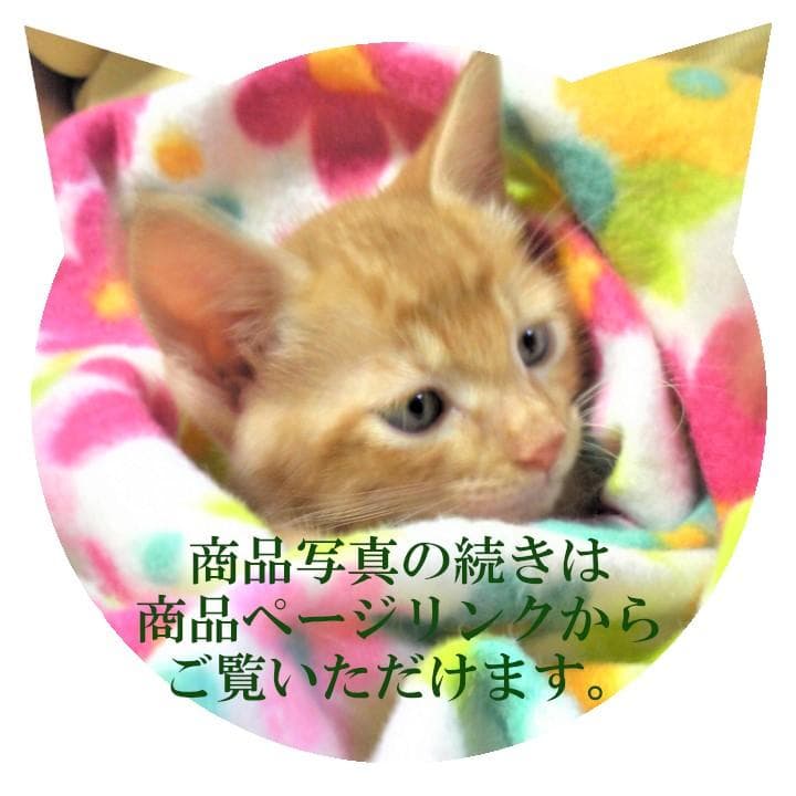 ■ 九谷焼 壽峰窯 祝い膳 吉祥鶴松絵巻 円満 陶製丸重箱　① ■