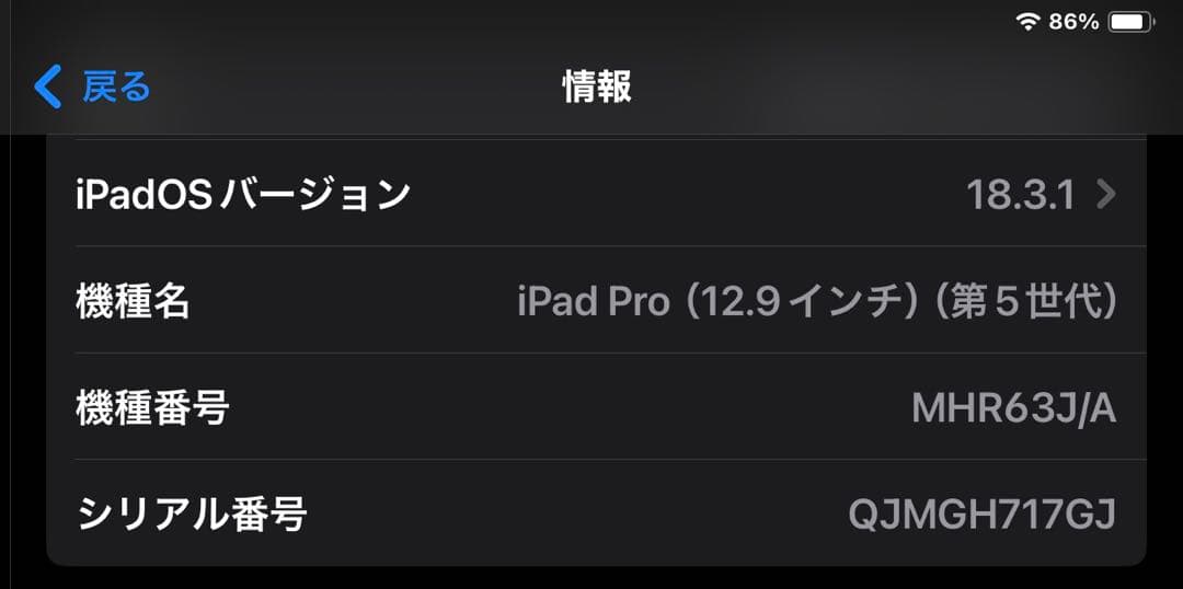 iPad Pro12.9インチ256G第5世代cellular スペースグレー