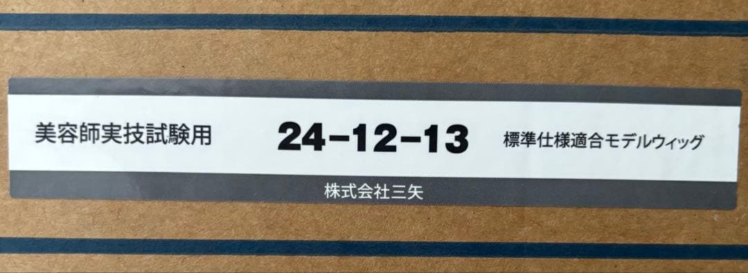 美容師実技試験用　人毛100% ウィッグ 5個セット
