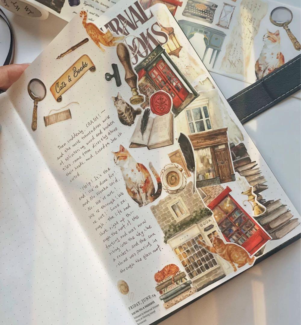 新品　カナダWT　猫書店　PET型抜きタイプマスキングテープ　マステ