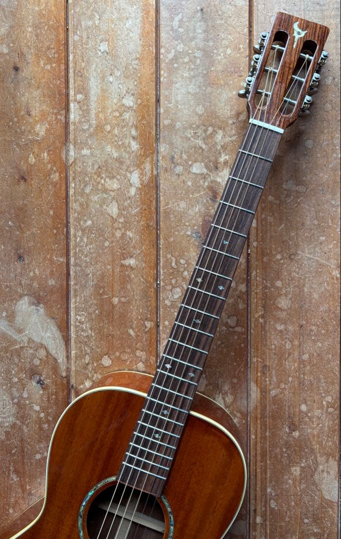 エレアコ DCT F-200E Fishman搭載