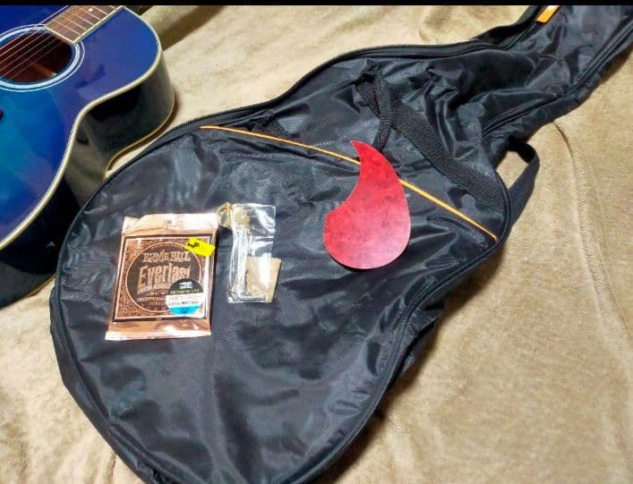 Ashton Acoustic Guitar アクアブルーアコギ 初心者に最適