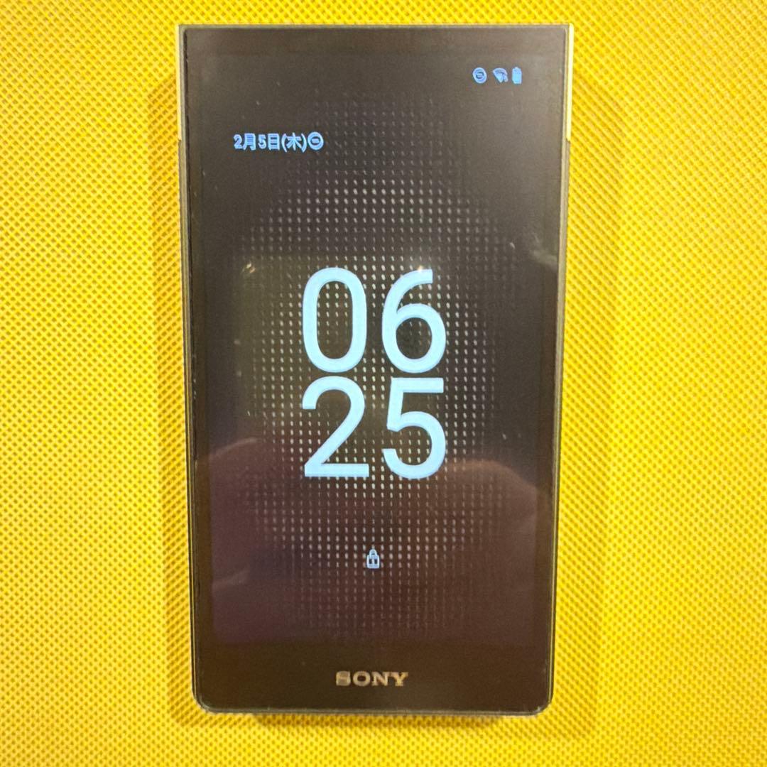 SONY NW-ZX707 純正ケース、ストラップ付き