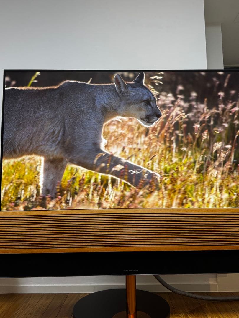 【ec09085 】Bang & Olufsen Eclipse 55型