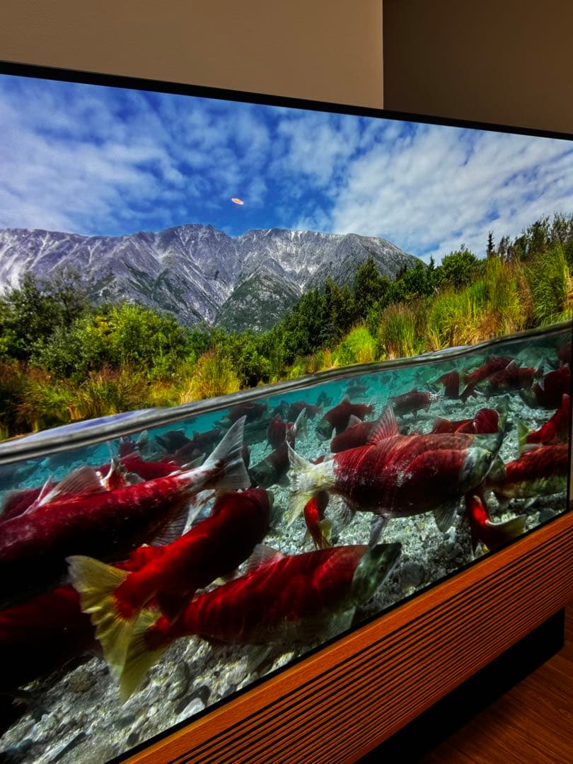 【ec09085 】Bang & Olufsen Eclipse 55型