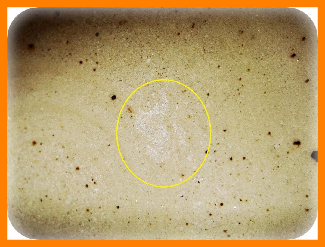 @442『松絵 茶碗』　/骨董品 古美術 古道具 アンティーク