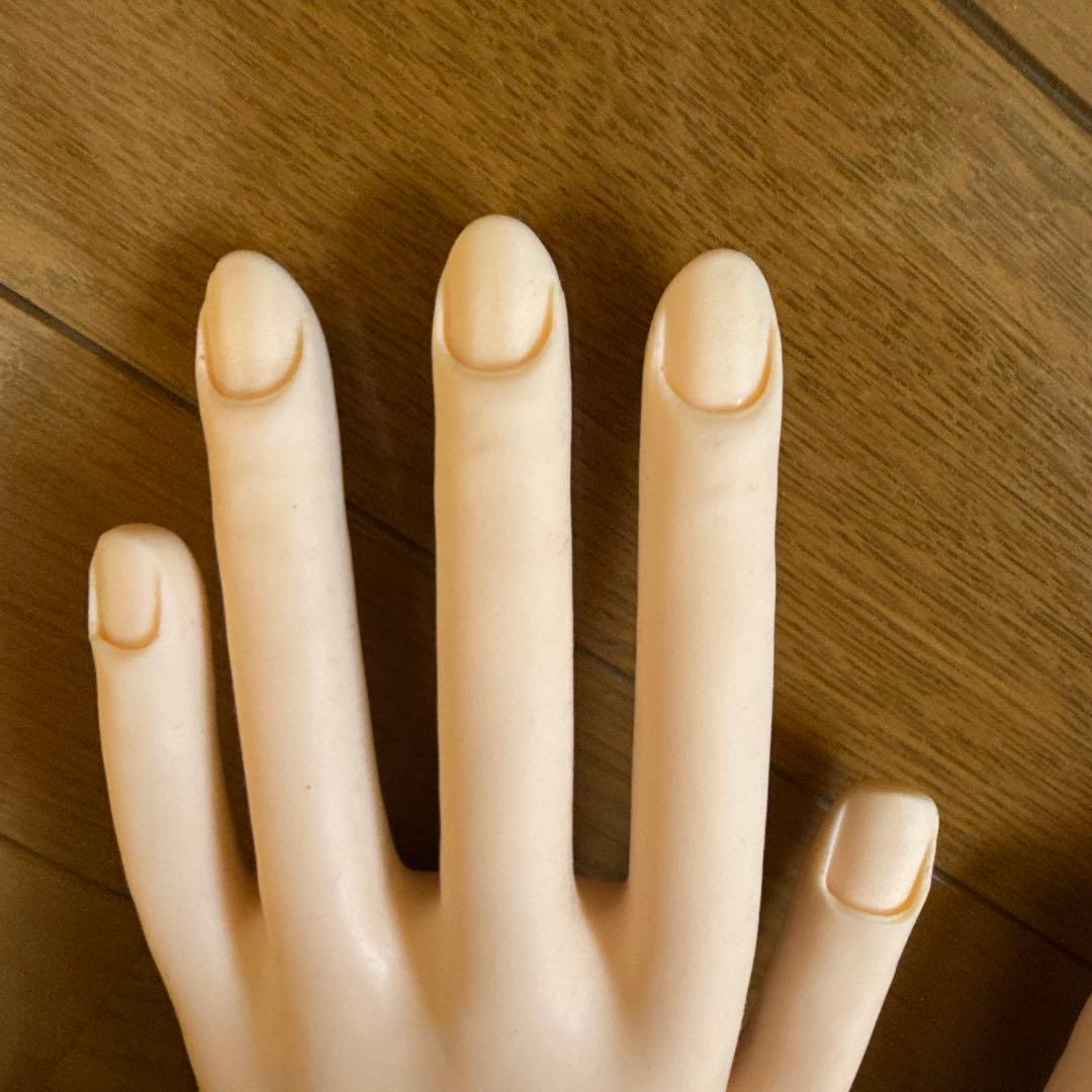 ネイリスト技能検定試験用JNEC認定モデルハンド