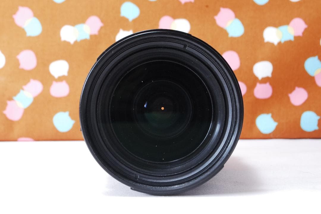 ✨初心者オススメ✨届いてすぐ使える✨Nikon D80 レンズセット