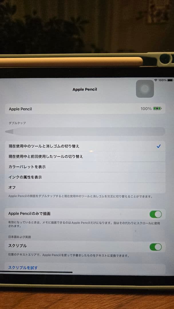 iPadPro11インチ第3世代256GBペン付き充電容量100%ココア！
