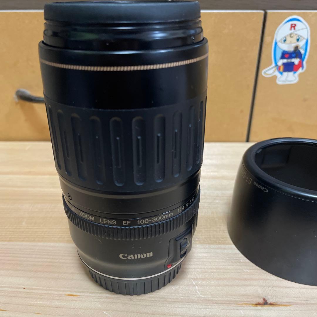 Canon EOS kiss レンズ付き