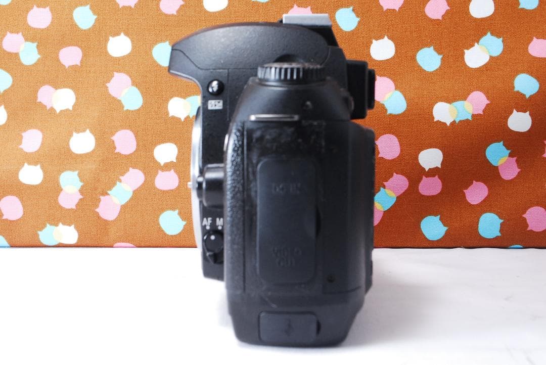 ✨ショット数5056回✨お安くデビュー✨Nikon D70 レンズセット