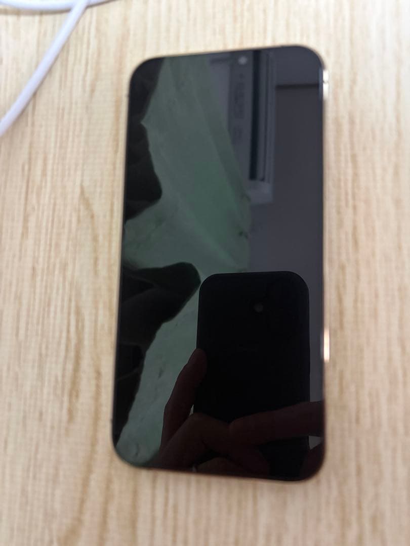 iPhone12Pro本体256GB