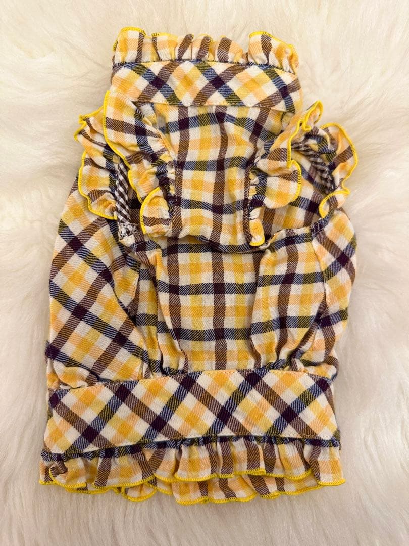 アトリエgg21 イエローチェック