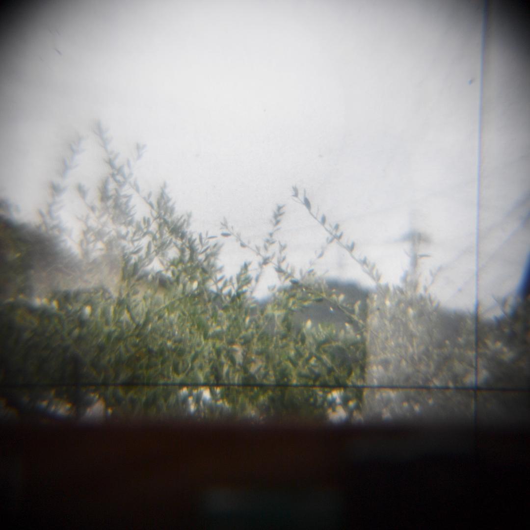 オーバーホール済　Zeiss Ikon IKOFLEX FAVORIT 二眼レフ