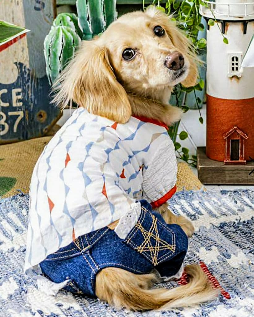 新品タグ付き　レース☆デニムPT 　asknowasdewan　アズノウアズデワ