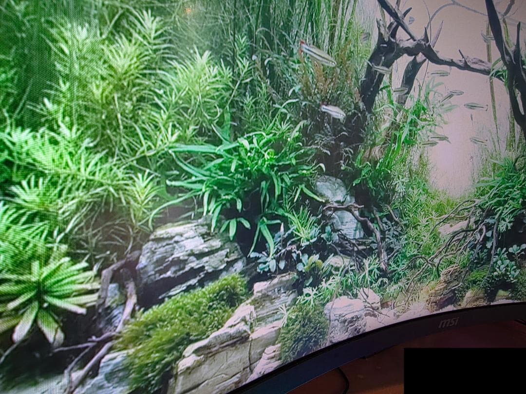 MSI MAG 345CQR 34インチ ウルトラワイド