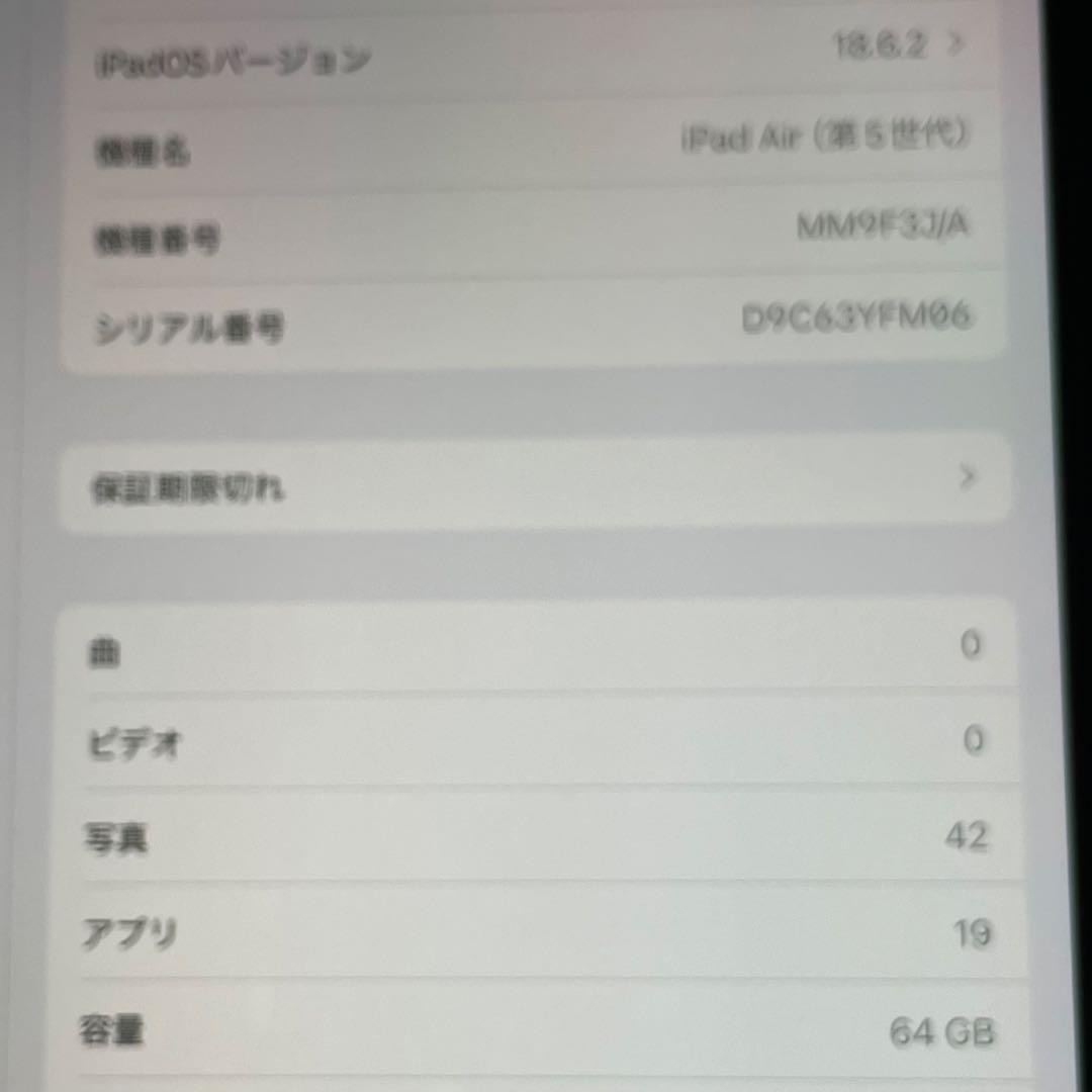 Apple iPad シルバー 10.9インチ 本体