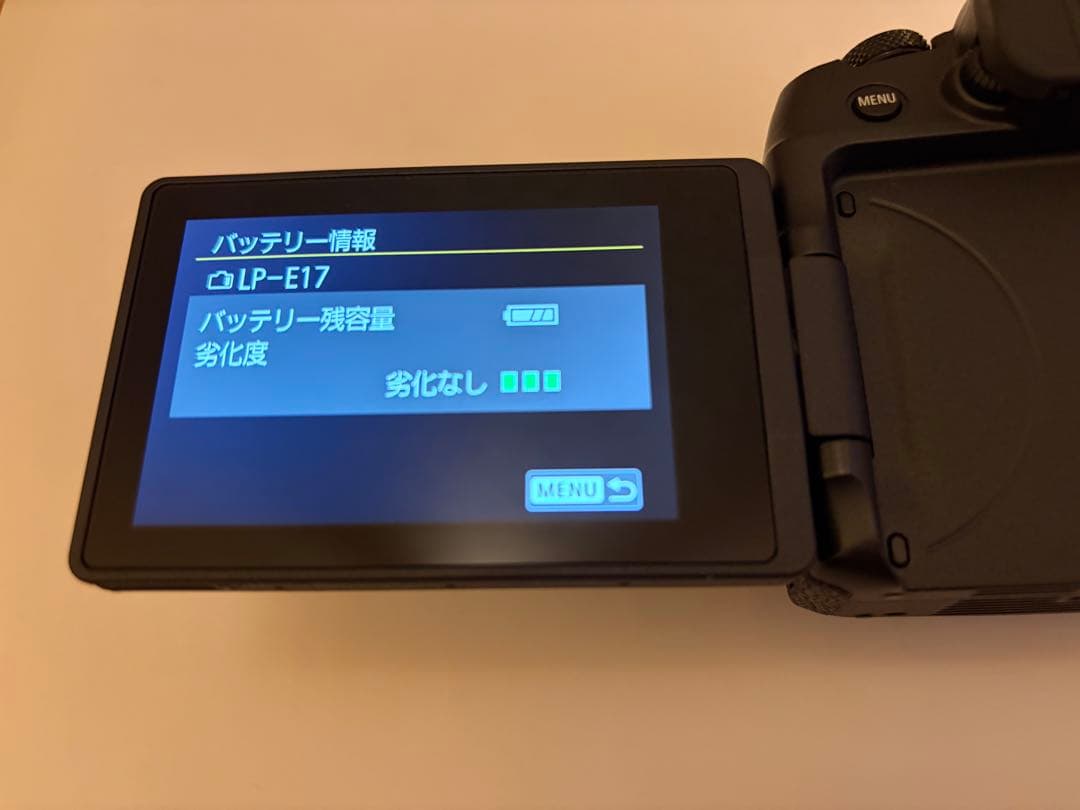 Canon EOS RP ※バッテリー2つ付き(LP-E17)