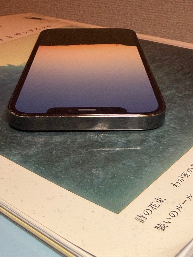 Apple iPhone 12 Pro 256gb グラファイト本体SIMフリー