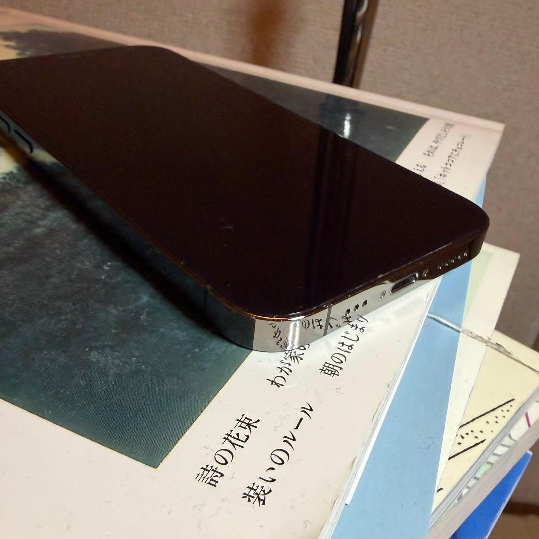 Apple iPhone 12 Pro 256gb グラファイト本体SIMフリー