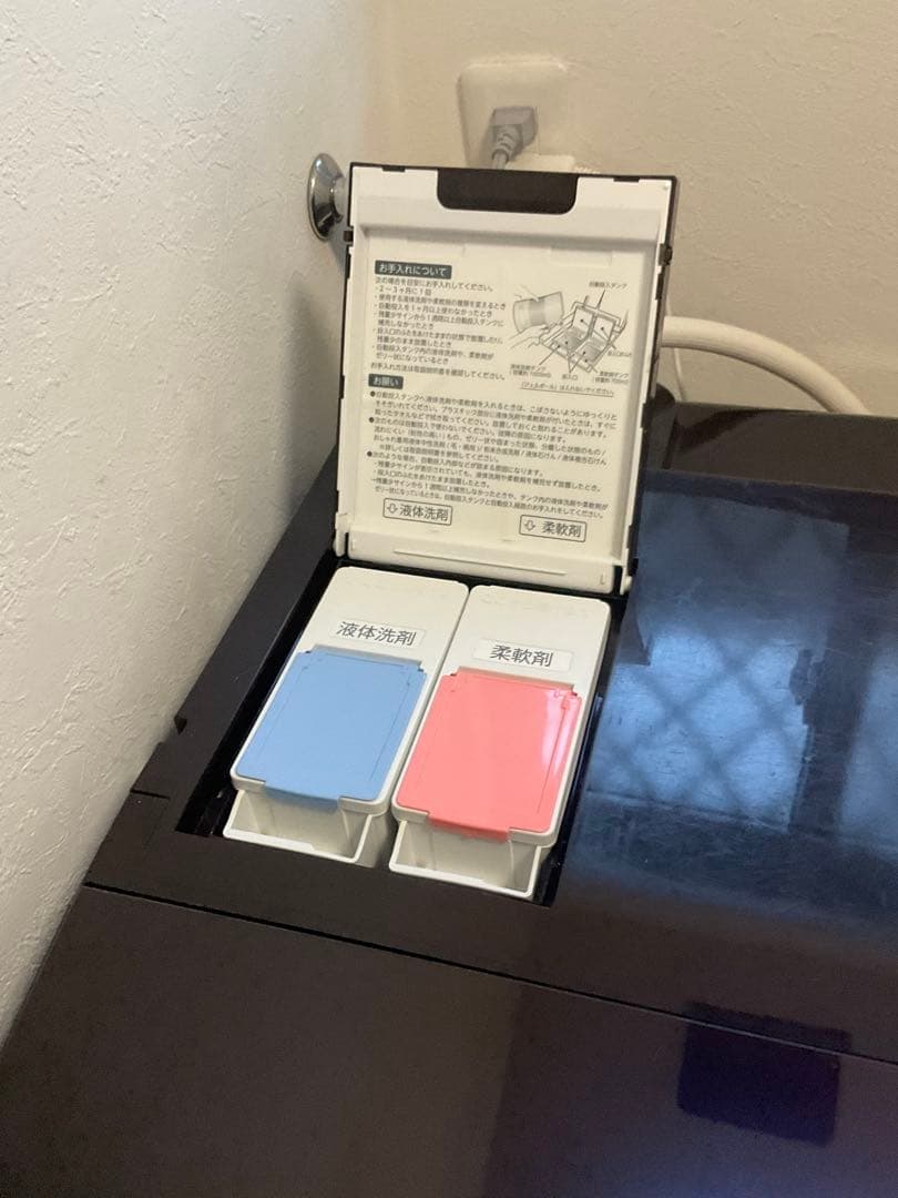 【分解洗浄済み】東芝ドラム式洗濯乾燥機　2022年8月購入(動作確認済み)