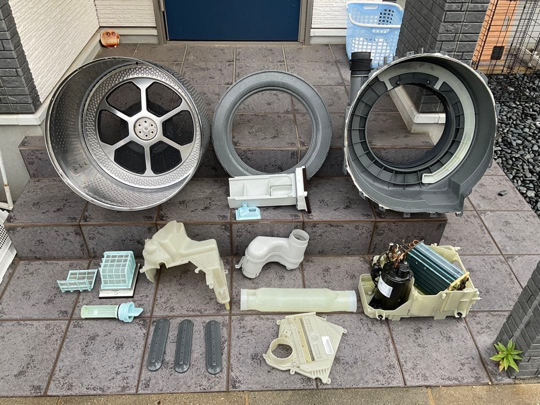 【分解洗浄済み】東芝ドラム式洗濯乾燥機　2022年8月購入(動作確認済み)