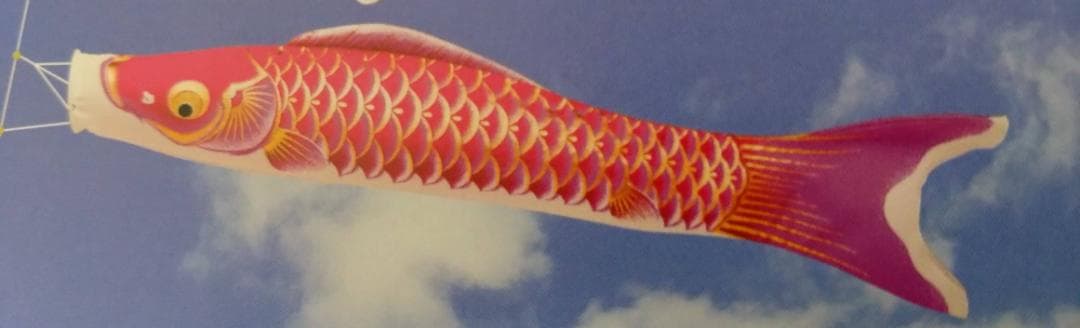 鯉のぼり　1.5ｍスタンドセット　展示品　新品紫鯉のぼり付き