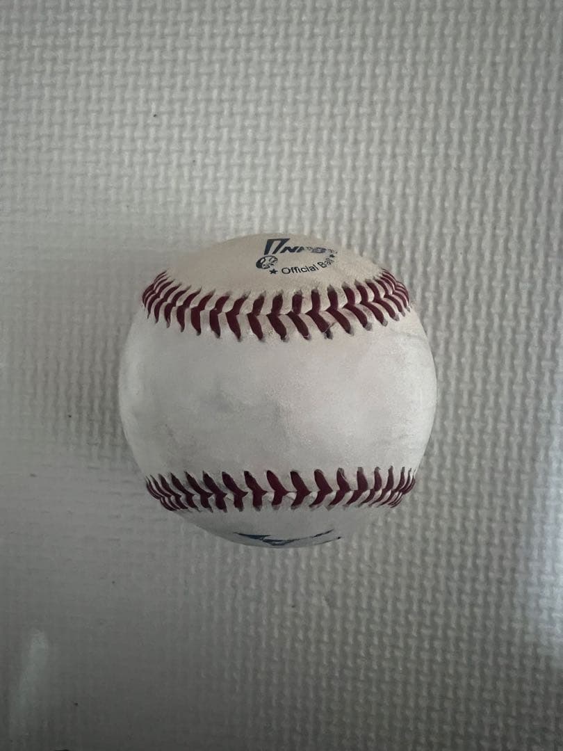 横浜DeNAベイスターズ　入江大生　選手　直筆サインボール