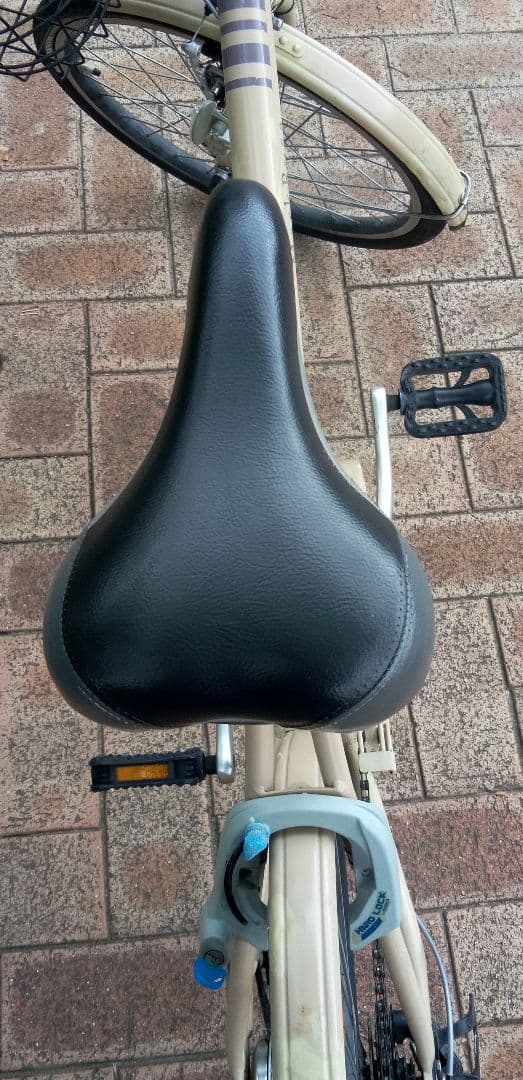 ブリジストン　アルミ軽量ミニベロ(20㌅)　大阪府八尾市 お引取り限定[配達可]