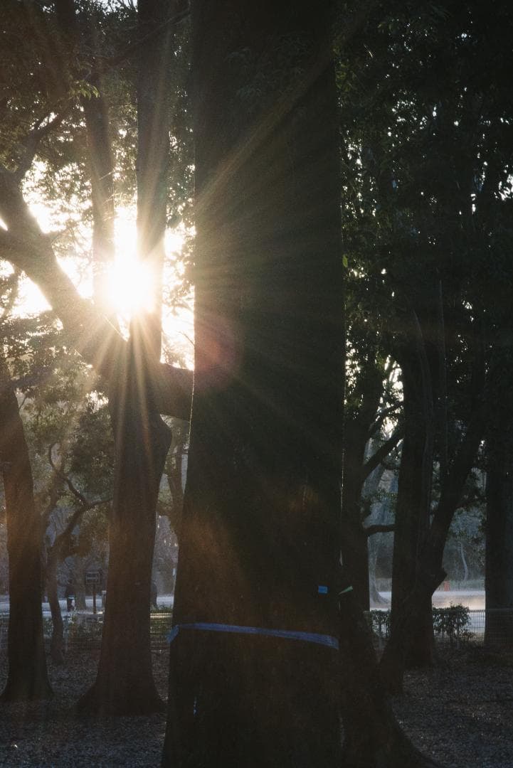 大口径メガネ付き望遠！Leica Elmarit 135mm F2.8 2nd