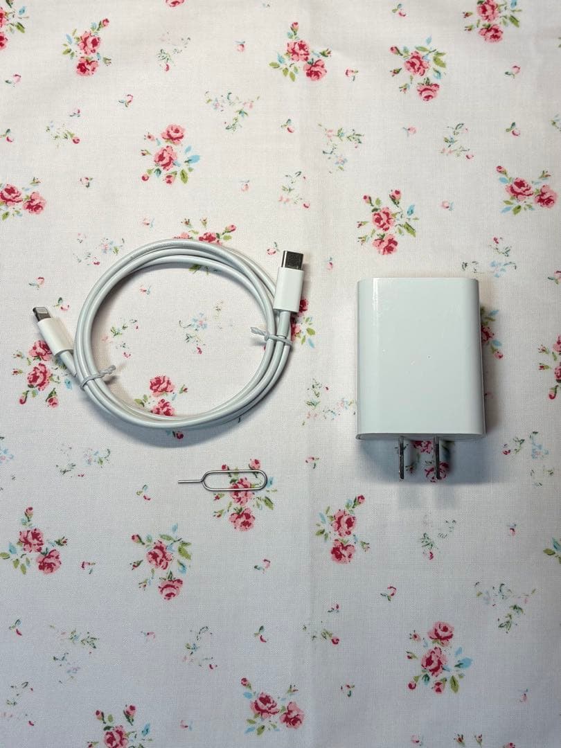 【お得なセット】iPhone12 mini SIMフリー