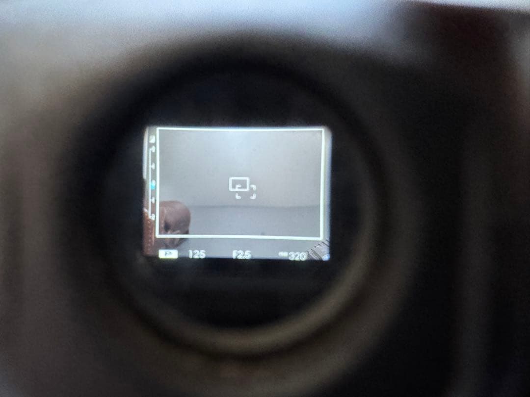 デジタルカメラ FUJIFILM Fine Pix X100