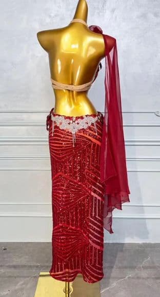 ベリーダンス オリエンタル衣装 透け ブラ スカートセット オーダーメイド