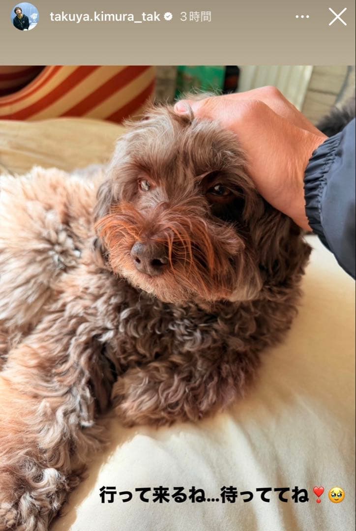 キムタクMASSESマシスVANSON×MASSESコーチジャケット黒 XL