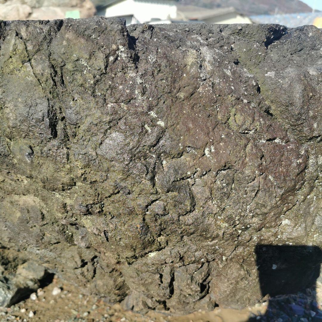 浅間　溶岩石　台石　155キロ　庭石　石　鑑賞石　庭　坪庭　ガーデニング